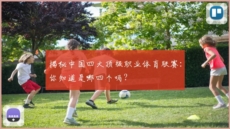 揭秘中国四大顶级职业体育联赛：你知道是哪四个吗？
